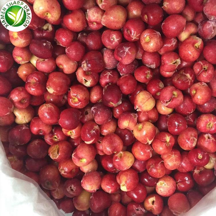 XMSD IQF frozen cherries for sale supplier