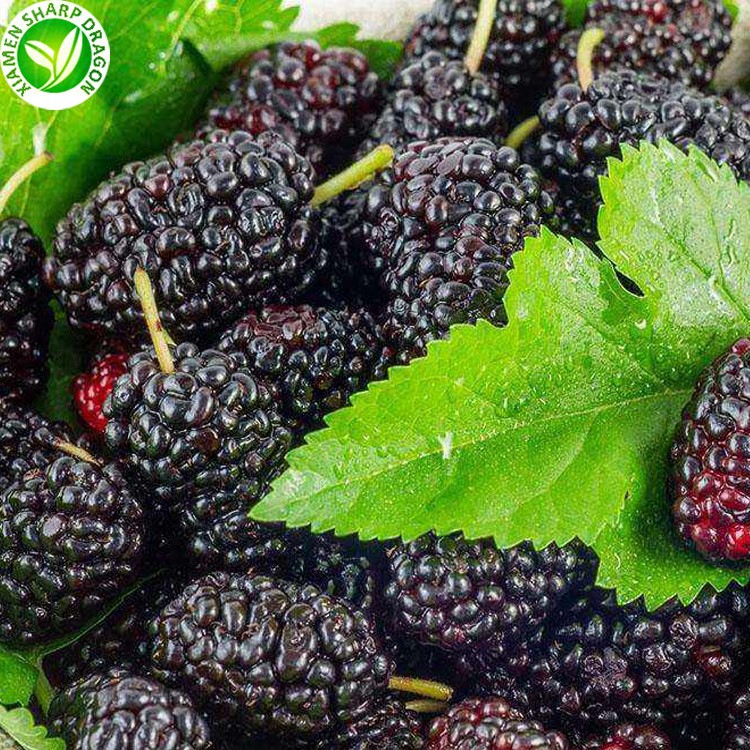 FROZEN Mulberries XMSD FROZEN Mulberries XMSD