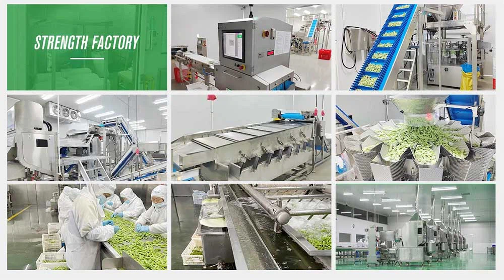 factory1000 factory1000