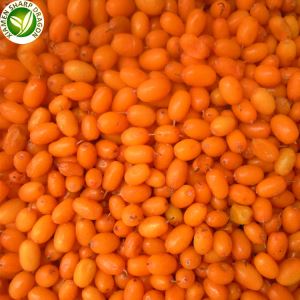 Buckthorn Berries BERRIES