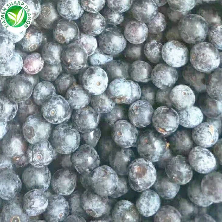 Frozen Blueberries Cheap