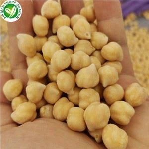 Frozen Chickpea