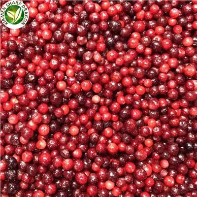 Bulk IQF smrznuta lingon